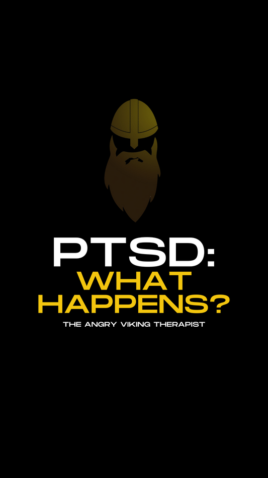 Blog Post 1.3 - What Happens Due to PTSD?